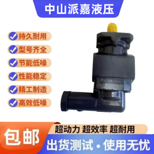 Pompe à engrenages KF80RF1-D15, pompe hydraulique quantitative à entraînement électrique, installation verticale et horizontale - Product Image 3