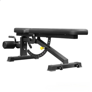<span class=keywords><strong>Banc</strong></span> de musculation multifonctionnel réglable KJ en acier, à charge libre, inclinable/déclinable/plat, pour curls et press de triceps - Product Image 3
