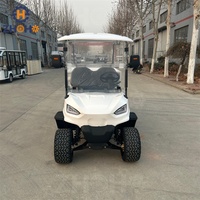 Voiturette de golf électrique tout-terrain de haute qualité pour hôtels, complexes hôteliers et services d'entretien – Club Car Premium 3-4 places avec batterie au lithium