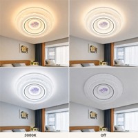 Plafonnier LED rond design feuille de Ginkgo, panneau central avec deux feuilles, tiges croisées, cercles concentriques, lignes fines noires décoratives