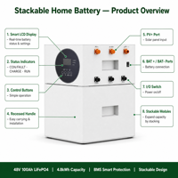 Batterie de stockage d'énergie domestique LiFePO4 48V 100Ah 4,8kWh, empilable, montage mural, système solaire hors réseau, BMS intelligent, Bluetooth, OEM ODM