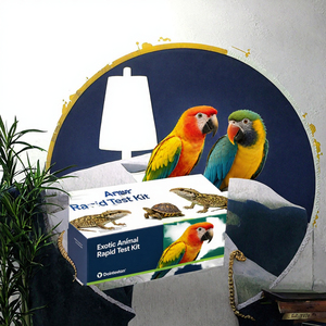 Kit di Test Diagnostico Rapido Tricho per Uccelli Esotici per l'Infettione da Trichomonas, Test per l'<span class=keywords><strong>Influenza</strong></span> Aviaria <span class=keywords><strong>e</strong></span> la Peste dei Polli - Product Image 5