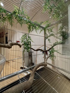 Hot Selling <strong>Extra</strong> <strong>Large</strong> Bird <strong>Cage</strong> Outdoor Aluminum Alloy Display <strong>Parrot</strong> Bird <strong>Cage</strong> - Product Image 3