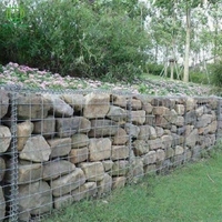 Panier gabion robuste de tailles standard chinoises, revêtu de PVC, vente en gros