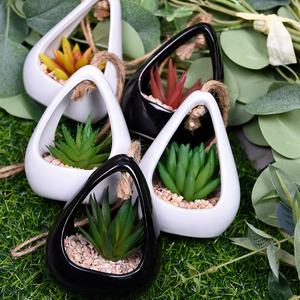 Piante succulente artificiali in vaso sospese Mini vasi per fioriera in erba verde Set di vasi in ceramica succulenta per la decorazione - Product Image 4