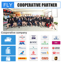 Shenzhen FLY Air Sea Transitaire Expédition DDU Service DDP Chine Vers Amérique Europe USA Canada Royaume-Uni Allemagne Italie Pays-Bas