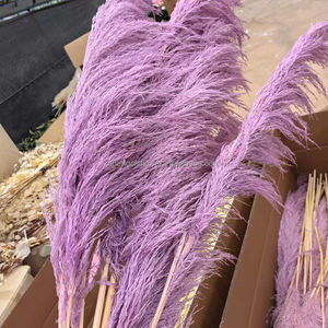 Herbe de la Pampa Séchée en Gros, Grande Taille, Style Naturel Magnifique, pour Mariage, Fête, Noël, Décoration Intérieure, Longue Durée, Sans Perte de Feuilles - Product Image 4