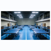 Rouleaux de moquette PVC en gros, revêtements de sol sportifs en PVC personnalisables, feuilles de sol PVC à prix abordable pour salle de tennis de table