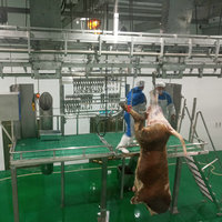 100 têtes par jour moderne vache abattoir usine bétail abattoir équipement d'abattoir