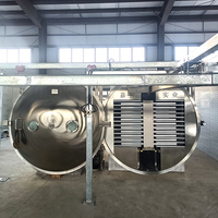 Industriële roestvrijstalen vacuümvriesdroger lyofilisator droogapparatuur voor voedsel, fruit, groenten, vlees en vis.