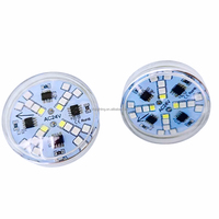 Lumière de fête foraine Carnival Chameleon 48mm 24V automatique E14 Rgb, lumière pour manèges et grandes roues