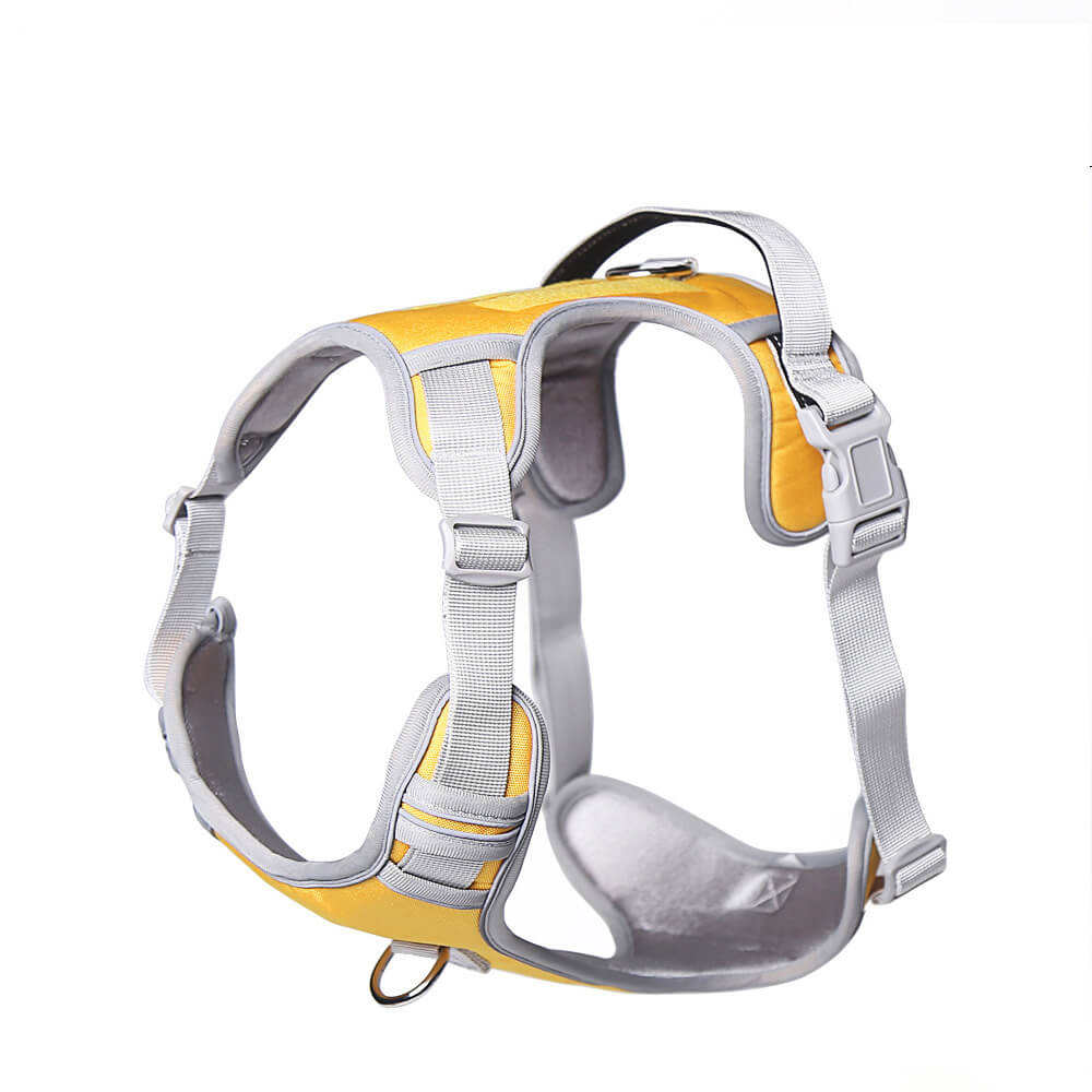 สีเหลือง