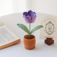 Tanaman Pot Kecil Rajutan Tangan Bunga Tulip Hiasan Hadiah Bunga Buatan Model Fashion Tanaman Pot