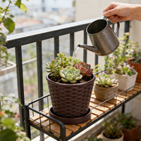Plateau de pot de fleurs circulaire en PP tissé durable avec trou de drainage, capacité de 0,58 L, style traditionnel pour la culture de plantes succulentes en intérieur