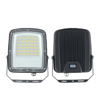 Projecteur miniature KCD Garden à haut lumen, boîtier en aluminium moulé sous pression, CE RoHS IP65 étanche, 20w 50w 100w, projecteur LED extérieur