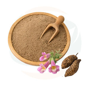 中国産ハーブ供給 食品グレード 地黄/地黄根エキス/地黄エキス粉末 - Product Image 2