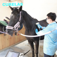 Appareil de thérapie laser de classe IV avec écran tactile, modes prédéfinis pour humains et animaux, physiothérapie, réadaptation