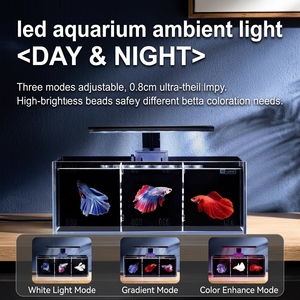 Yee ถังปลากัดใส5ช่องตัวกรองที่แยกแก้วแบบใสมากใบคู่ RGB LED ที่กรองหลังถังเพาะพันธุ์เดสก์ท็อป - Product Image 6
