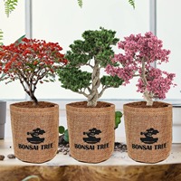 Kit de plantation d'arbres bonsaïs écologiques avec un design mignon et un kit de démarrage pour une utilisation à domicile, cadeau DIY pour adultes