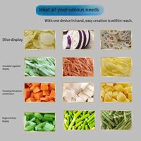 Automatische Aloë Vera & Groenten Snijmachine: Professioneel apparaat voor het snijden van wortelen, fruit/ui/aardappel/ham in blokjes & plakjes