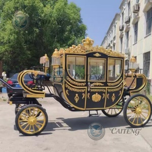Chariot de <span class=keywords><strong>mariage</strong></span> électrique Royal Cendrillon, chariot à chevaux motorisé, chariot de golf électrique, chariot à chevaux au design électrique - Product Image 6