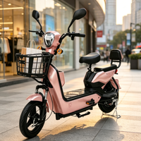 Vélo électrique OEM directement de l'usine avec panier avant pour livraison urbaine et courses