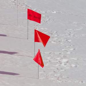 Bandiera della marcatura del cortile del prato in PVC rosso bandiera della marcatura del palo in acciaio 10*15*38cm marcatore della bandiera Survery dell'irrigazione del prato bandiera della marcatura di utilità gialla - Product Image 5