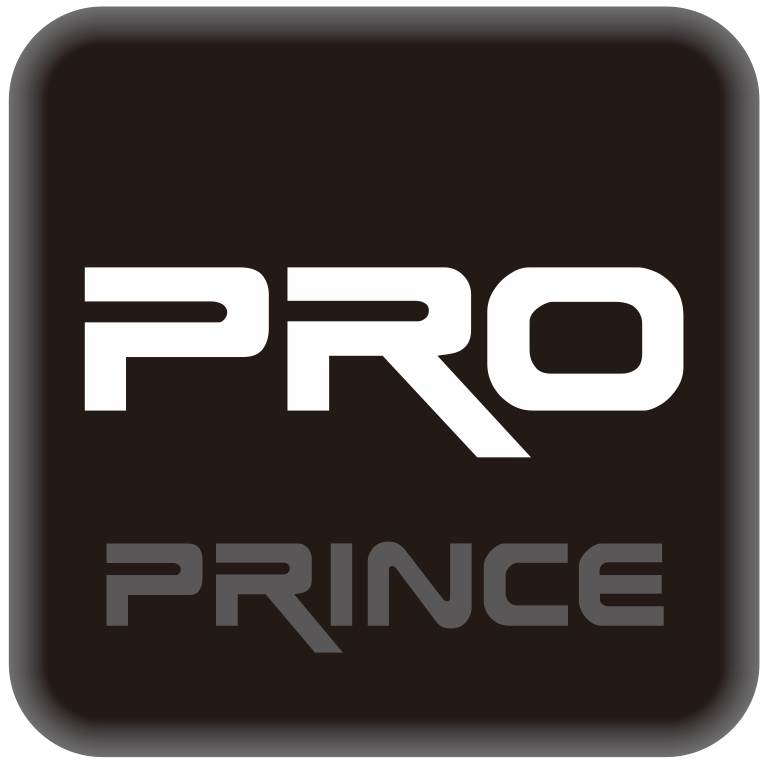 Guangzhou Prince Audio Co., Ltd.