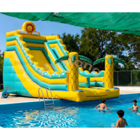Toboggan gonflable personnalisé pour carnaval d'été avec piscine, toboggan aquatique Tropical Fiesta Breeze, toboggan gonflable pour enfants