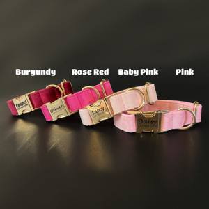 Personnalisé Gravé Personnalisé De Luxe Velours Écologique Rembourré Collier Pour Animaux De Compagnie Laisse Ensemble Noeud Papillon Collier De Chien Breakaway Libération Rapide - Product Image 2