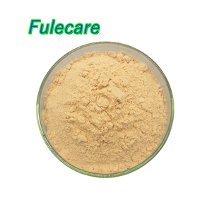 Miel en polvo de alta calidad, miel de Manuka de Nueva Zelanda, Grado Alimenticio - Product Image 2