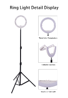 Harga pabrik kualitas terbaik LED 10 inci lampu cincin dengan 170CM penyangga Tripod untuk Tiktok Live / Make up/Fotografi/Video