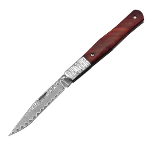 Stainless hunting tactical folding pakistan handmade steel pocket damascus knife