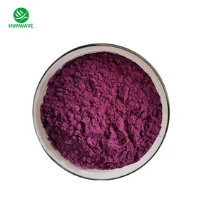 Hot Sale Natürliches reines Aronia Choke berry Pulver 100% Aronia Berry Gefrier getrocknetes Pulver