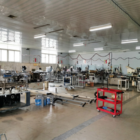 Machine de cartonnage verticale réglable à moteur servo à vitesse moyenne-élevée BFH-160 pour flacons en verre et ampoules vétérinaires