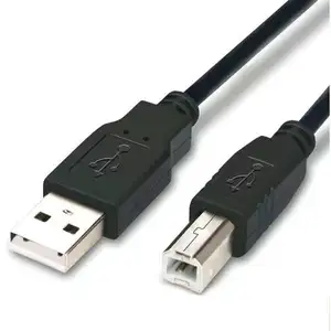 Cavo di stampa 2.0 USB personalizzato un cavo di prolunga maschio A B maschio può essere personalizzato