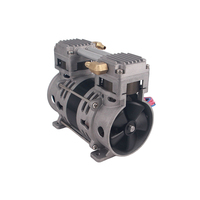 Compresseur d'air personnalisé 12V/24V, petite pompe à vide à Double tête, haute qualité, livraison gratuite