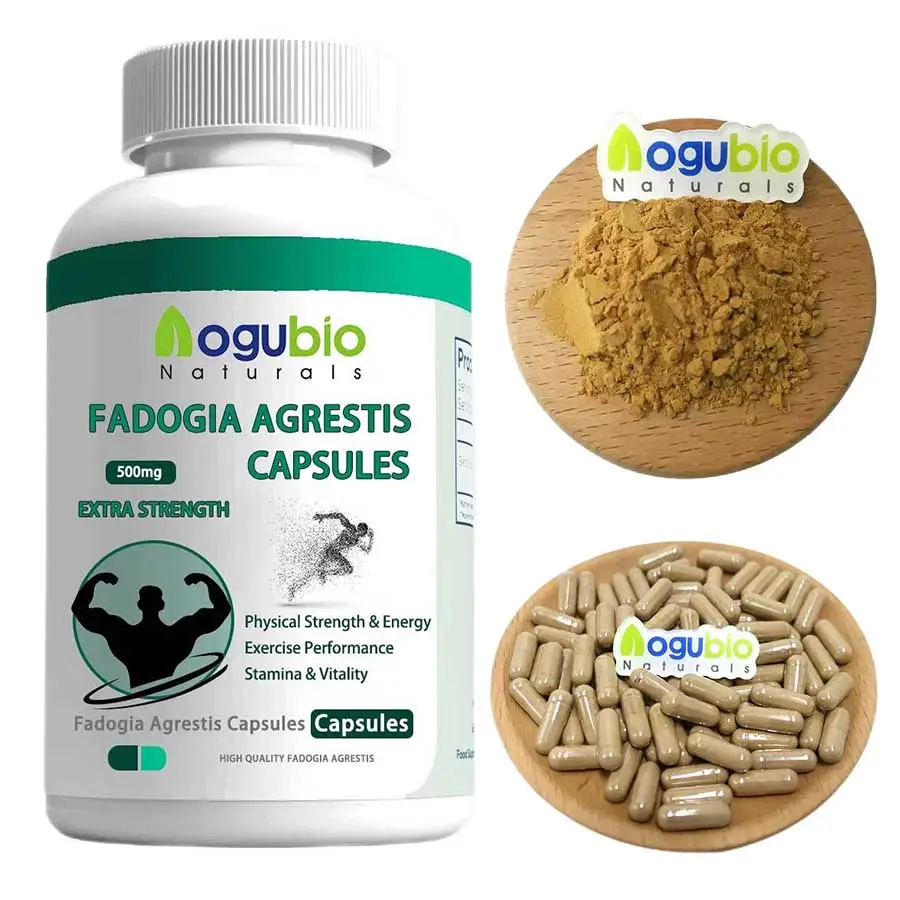 Kruidensupplement 500Mg Fadogia Agrestis Capsules