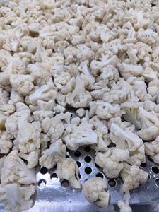 Cải bông trắng đông lạnh nhanh <span class=keywords><strong>IQF</strong></span>, vụ mùa mới <span class=keywords><strong>2025</strong></span>, cắt nhỏ, chất lượng cao, giá sỉ, bán trực tiếp từ nhà máy, giá OEM - Product Image 3