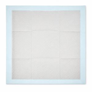 Coastal Disposable Adult Underpads | 6-Ply SAP Core <b>Sanitary</b> Underpads for Home Use - Product Image 1