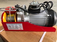 Mini treuil électrique à câble 220V, état neuf, capacité 220 kg, longueur de câble 20 m, acier, pour décoration intérieure, petit ascenseur