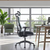 Chaise de bureau ergonomique en maille réglable à mi-dossier avec support lombaire réglable Accoudoir pivotant-Prix compétitif