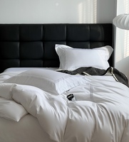 Vente en gros de draps de lit de luxe 100% coton King Size 300tc 5 étoiles pour hôtels, à rayures blanches