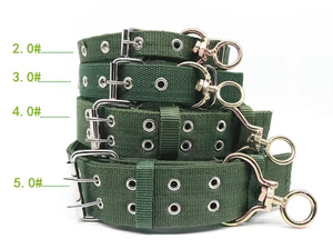 Verstellbares Nylon-Hundehalsband für kleine/mittlere/große Rassen – strapazierfähig, verdickt, verlängert, mit doppelter Schnalle, einfarbig, in 4 Farben erhältlich - Product Image 2