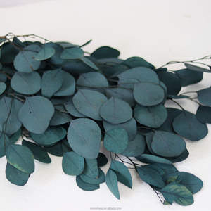 <span class=keywords><strong>Guirlande</strong></span> d'<span class=keywords><strong>eucalyptus</strong></span> préservée fleurs séchées feuilles vertes tiges <span class=keywords><strong>guirlande</strong></span> de roses décoratives couleur naturelle pour l'intérieur - Product Image 4