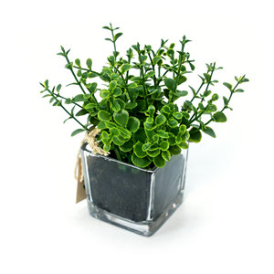 Vente flash : feuilles d'eucalyptus artificielles dans un vase en <span class=keywords><strong>verre</strong></span>, vert, 15 x 15 cm, pour la décoration de la maison, les mariages, les événements et l'extérieur - Product Image 2