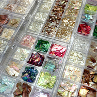 Lot de 12 grilles de paillettes pour ongles en éclats de coquillages naturels, coquilles d'ormeaux Aurora, breloques 3D pour manucure DIY, décoration de perles et de paillettes pour ongles