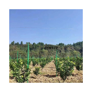 High Quality Vegetable Greenhouse Fiberglass Arched Shed Support Tube Grp/frp Pole Fiberglass Farm <b>Rod</b> for Agriculture - Product Image 1