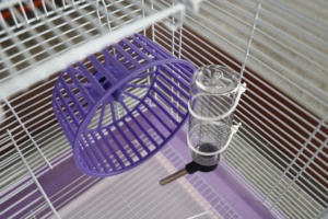 Fabrika toptan <span class=keywords><strong>Metal</strong></span> <span class=keywords><strong>Hamster</strong></span> kafes tel <span class=keywords><strong>Pet</strong></span> House taşınabilir dayanıklı plastik nefes çizgili çoklu boyut özelleştirilmiş renk - Product Image 6