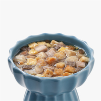 Vente en gros d'aliments pour animaux domestiques Cubes de poulet lyophilisés Friandises pour chats lyophilisation Viande de saumon Collations pour chiens animaux de compagnie
